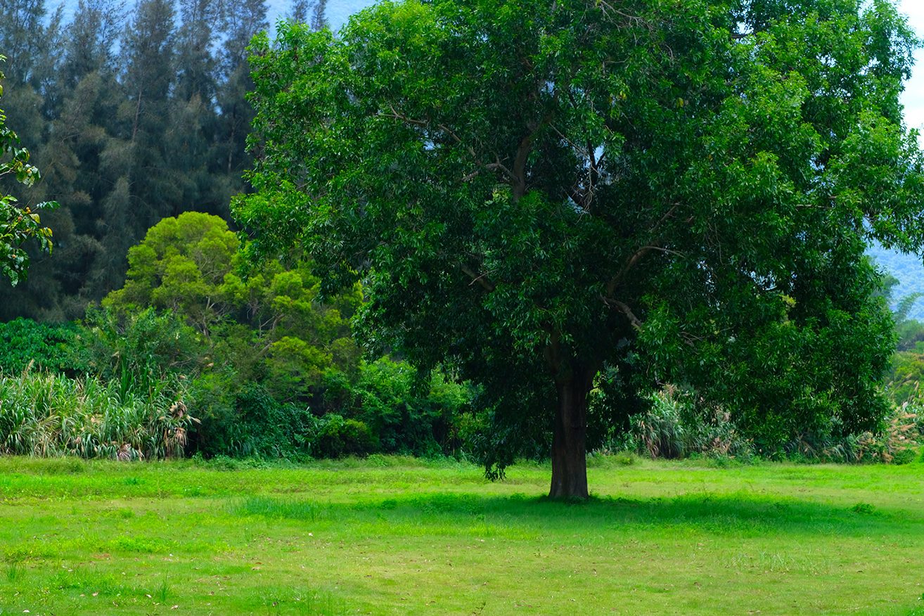 banner1.png